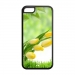 Cases for Iphone 5C TPU